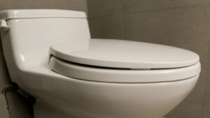 common objects that clog the toilet - tureks plumbing