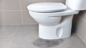 leaking toilet base - Plumber in Appleton WI